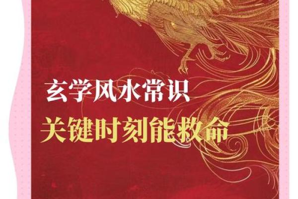 组传风水学