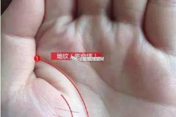 风水手相：生命线短的女人短命吗