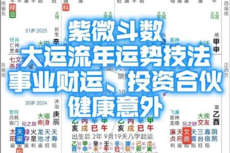 紫薇斗数限运