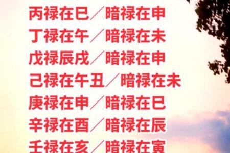 建禄格八字