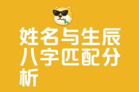 测名字和八字算命准不准