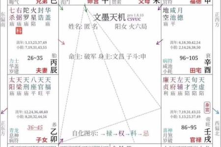 紫薇斗数紫薇分宫论