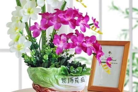 假花不要摆放在家里的哪里，有哪些风水讲究呢