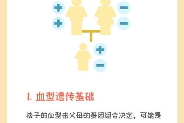 a型血和a型血会生出什么血型
