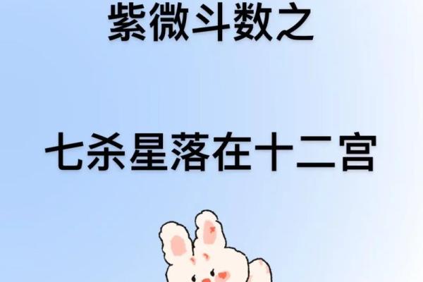 紫微斗数十四主星：七杀星概论