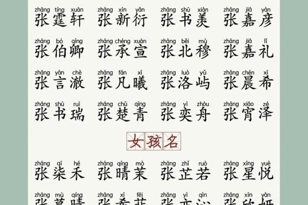 早上8点出生的属兔男孩如何取名姓名