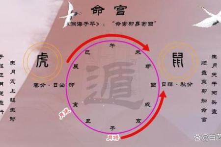 如何八字排盘