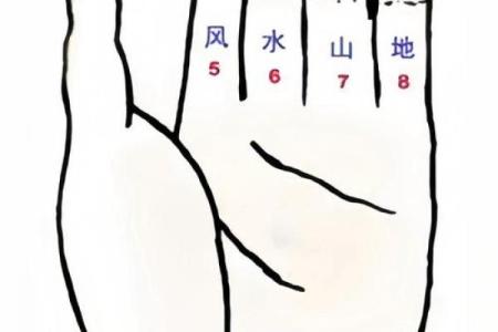 梅花易数排盘怎么解