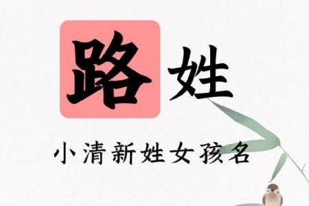 路姓女孩名字大全-路姓女孩起名字大全-路姓名字大全姓名