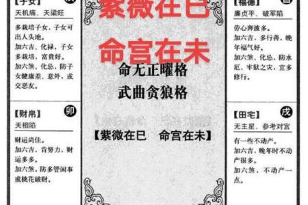 紫薇斗数流年紫薇化权