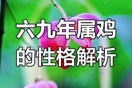 1969年属什么生肖配对 属鸡人的命运如何