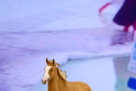 属马正缘出现在哪年 属马人婚姻配对表