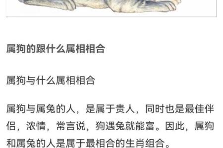 生肖配对：属狗的和什么属相最配