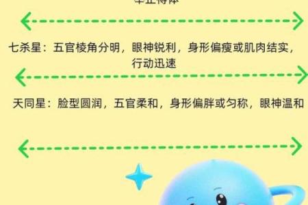 羊刃在官禄宫#紫微斗数