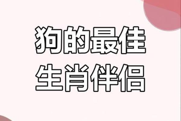 家破人亡的生肖配对在一起