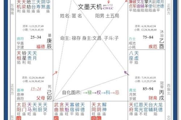 青龙紫薇斗数命宫