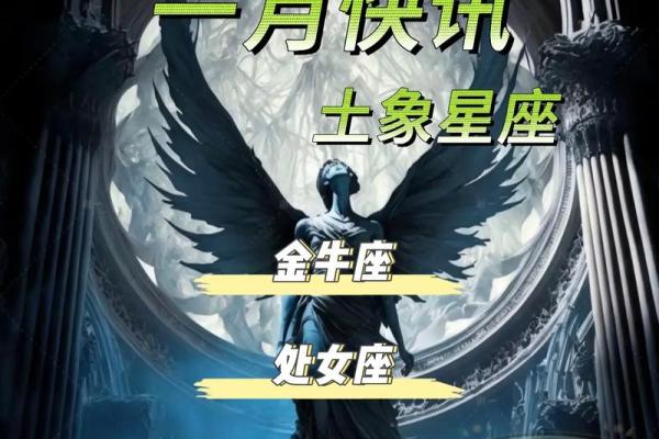 十二星座运势1月