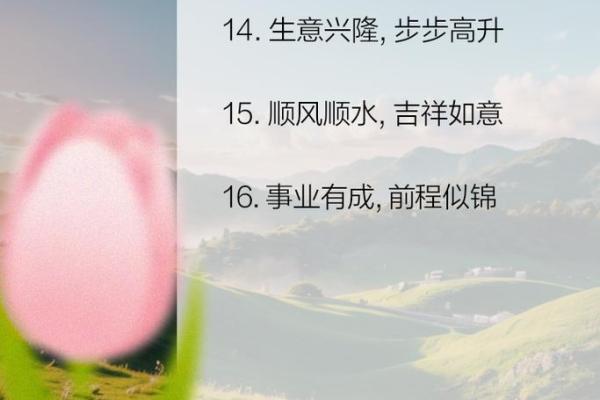 公司风水调理，助事业步步高升