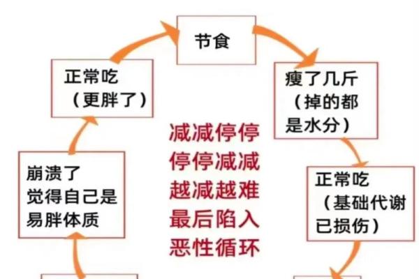 人胖与瘦八字命数组合揭秘
