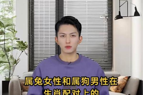 生肖属兔和属狗的合不合 相合配对指数
