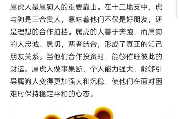 生肖属兔和属狗的合不合 相合配对指数