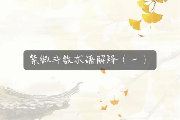 南辰紫薇斗数