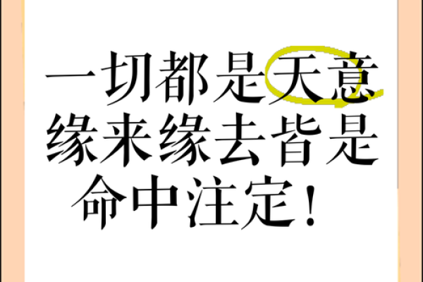 缘分是天注定姓名配对 缘份真的是天注定的-？