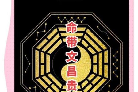 文昌星八字