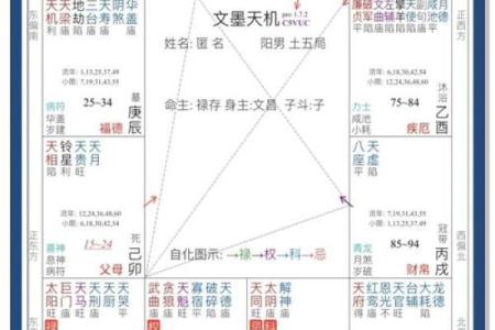 青龙紫薇斗数命宫