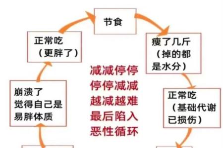 人胖与瘦八字命数组合揭秘
