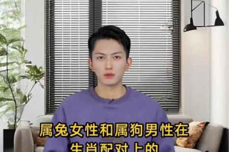 生肖属兔和属狗的合不合 相合配对指数