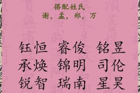 2019年3月20号卯时出生的男孩起名方法姓名