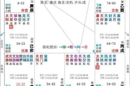 紫薇斗数看男方家境
