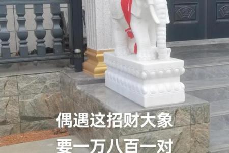 摆件小象的风水