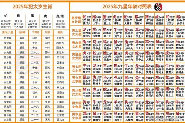 儿童应该算命吗吗