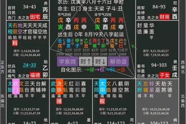测紫薇斗数app