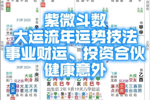 测紫薇斗数app