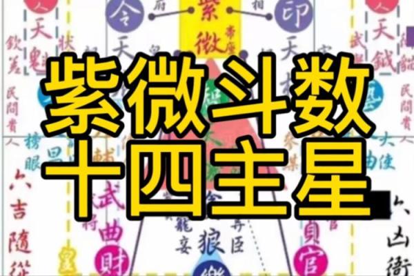 紫薇斗数天月星