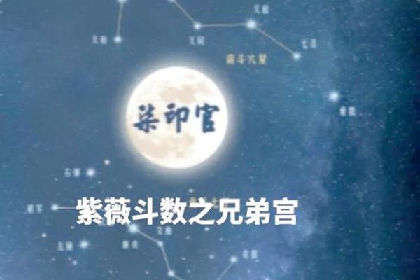 紫薇斗数兄弟宫空