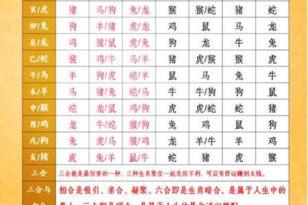 属蛇和什么属相最配对 属蛇和什么属相相冲