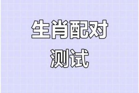 龙的生肖配对什么生肖最好
