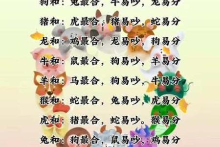 生肖配对属龙属兔的婚姻怎么样