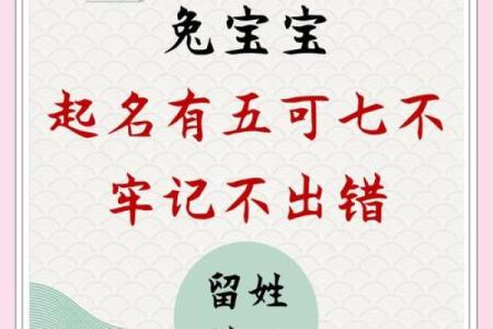 兔宝宝生辰八字
