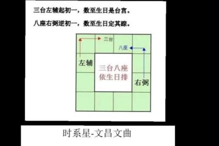 紫薇斗数天月星