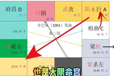清朝道光皇帝紫微斗数命盘 清代道光？