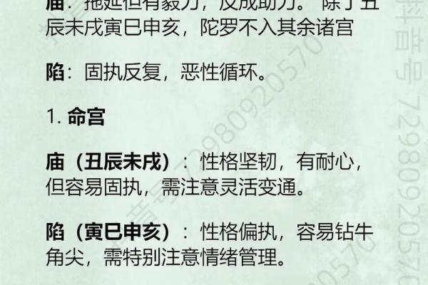 紫微斗数戊级星大小排序 戊子的官星？