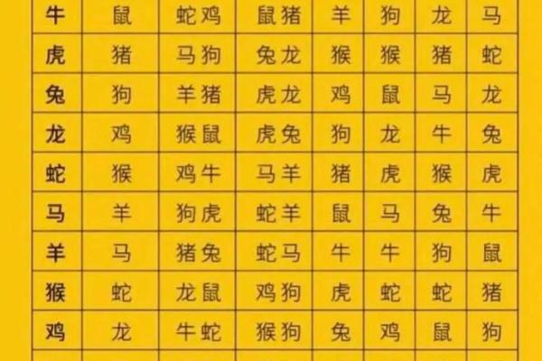 2000年属什么生肖配对男 2000年属什么生肖女婚配