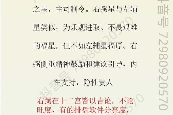 紫微斗数术语解释之：吉星