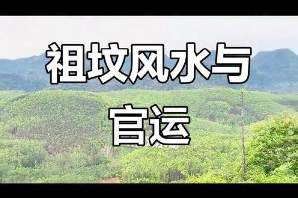 揭秘好祖坟风水的标准是什么