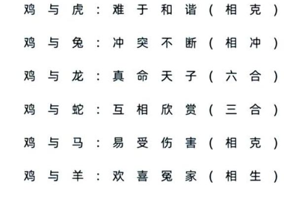 71年属猪和75年属兔相配吗 互补默契配对理想